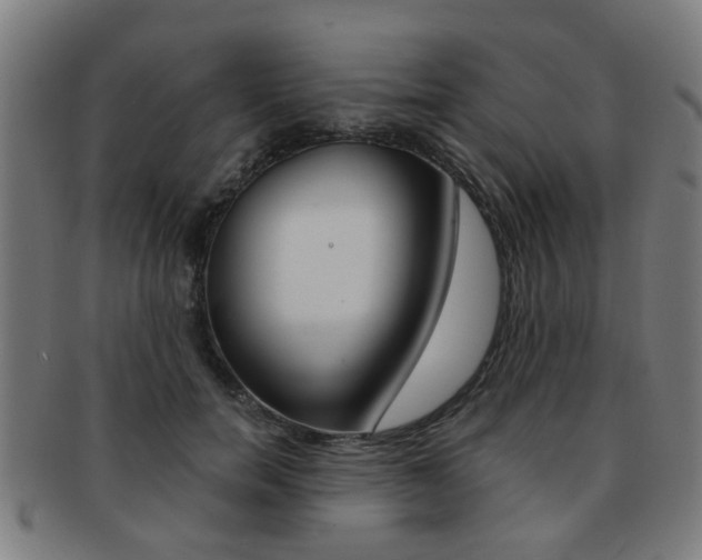 X0000091900750200709051104