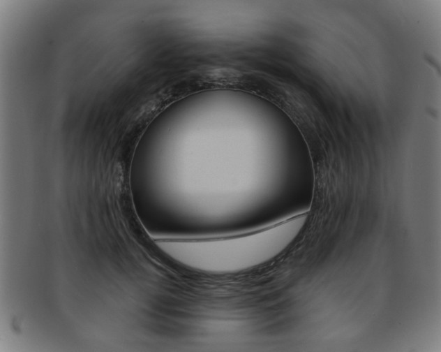X0000091900752200709051104