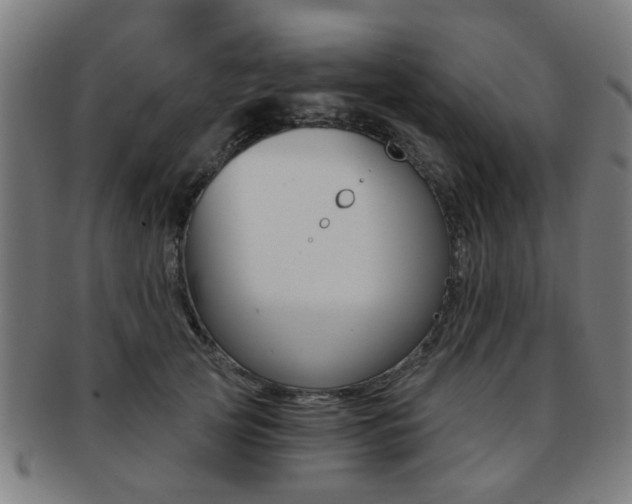 X0000091900753200709051104