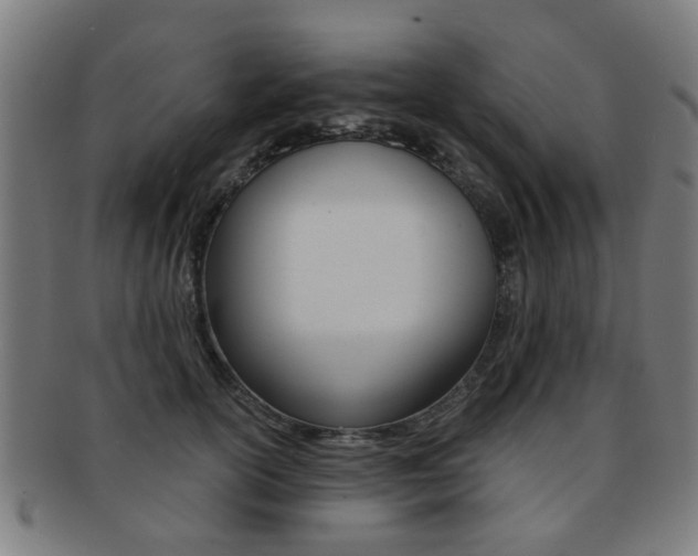 X0000091900754200709051104