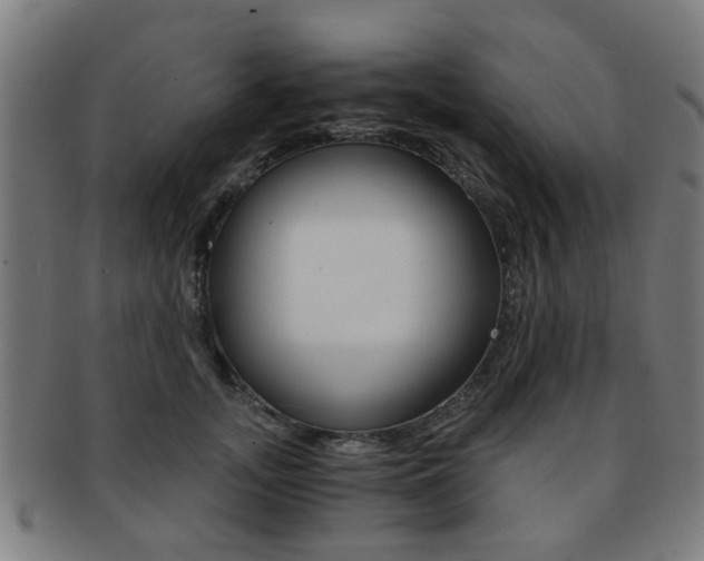 X0000091900755200709051104