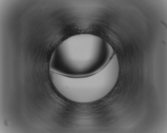 X0000091900756200709051104