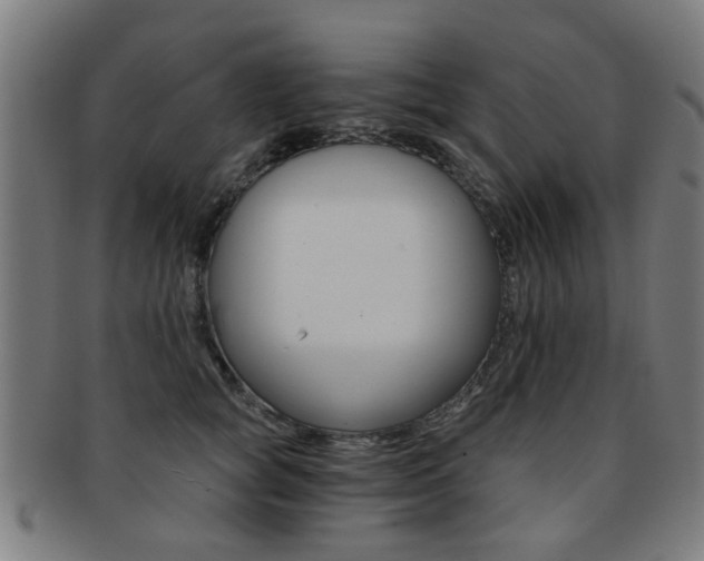 X0000091900757200709051104