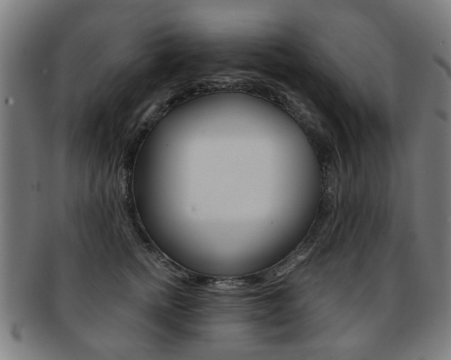 X0000091900758200709051104