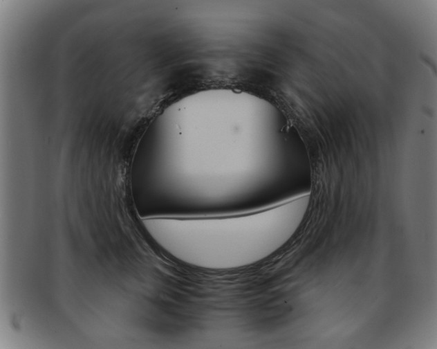 X0000091900759200709051104