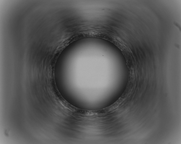 X0000091900760200709051104