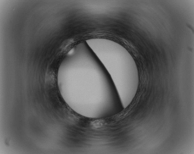 X0000091900761200709051104