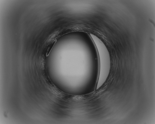 X0000091900762200709051104