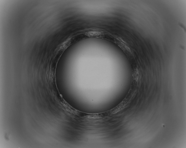 X0000091900763200709051104