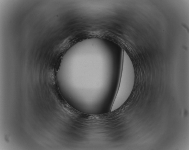 X0000091900764200709051104