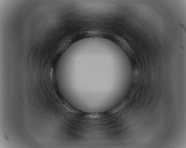 X0000091900765200709051104