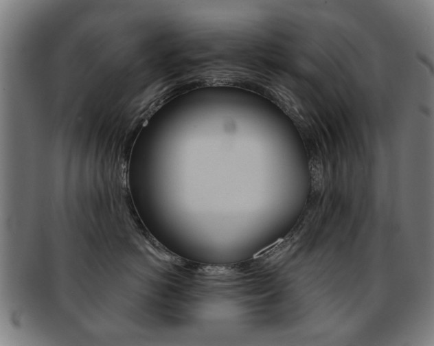 X0000091900766200709051104