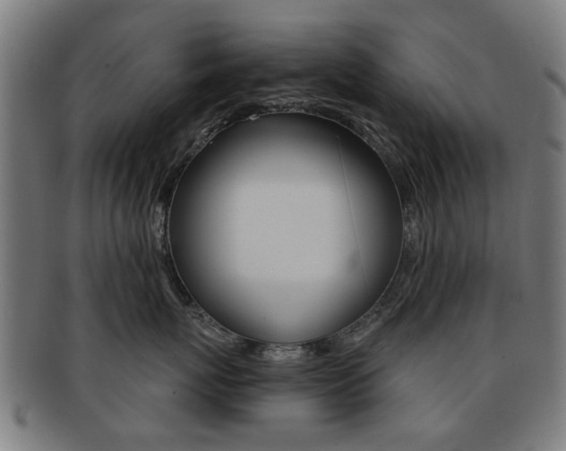 X0000091900767200709051104