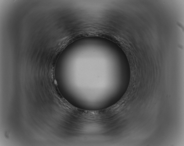 X0000091900768200709051104