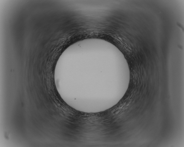 X0000091900769200709051103