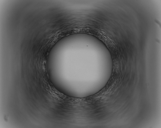 X0000091900770200709051103