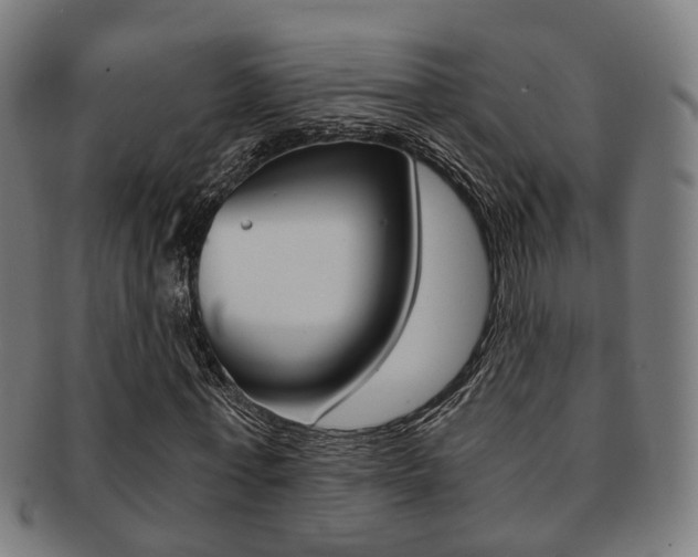 X0000091900771200709051103