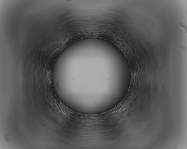 X0000091900772200709051103