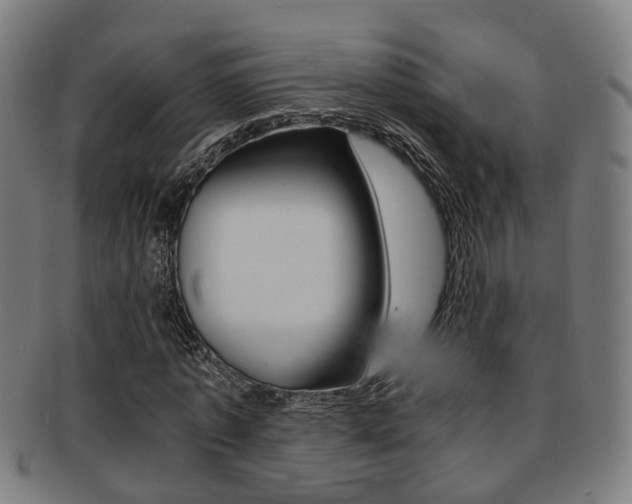 X0000091900773200709051103