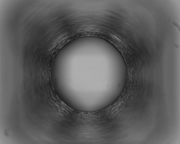 X0000091900774200709051103