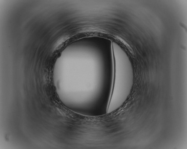 X0000091900775200709051103