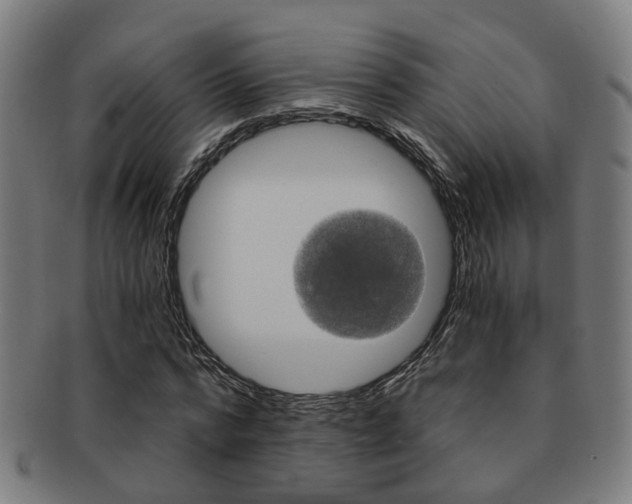 X0000091900776200709051103