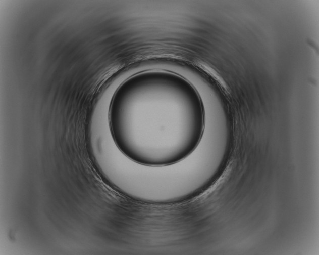 X0000091900777200709051103