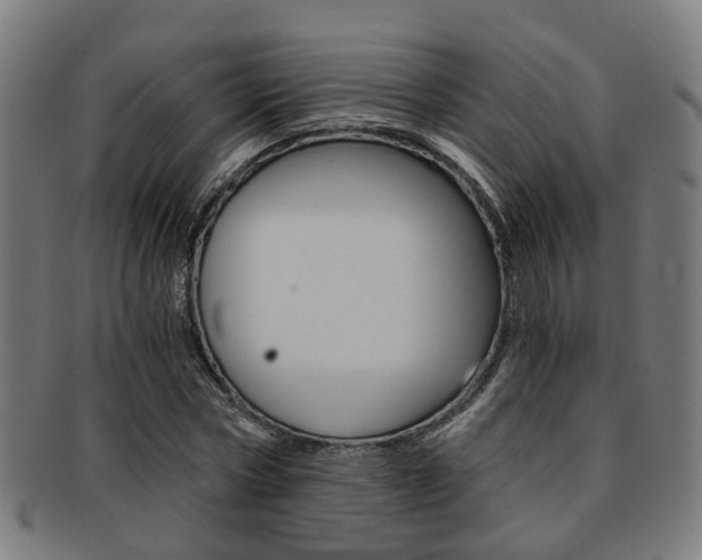 X0000091900778200709051103