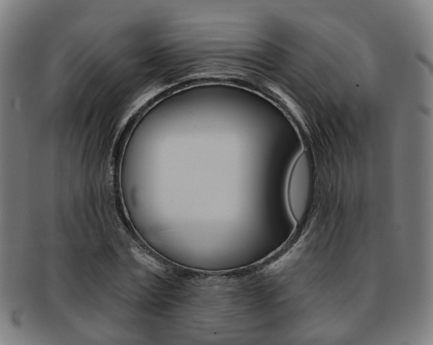 X0000091900779200709051103