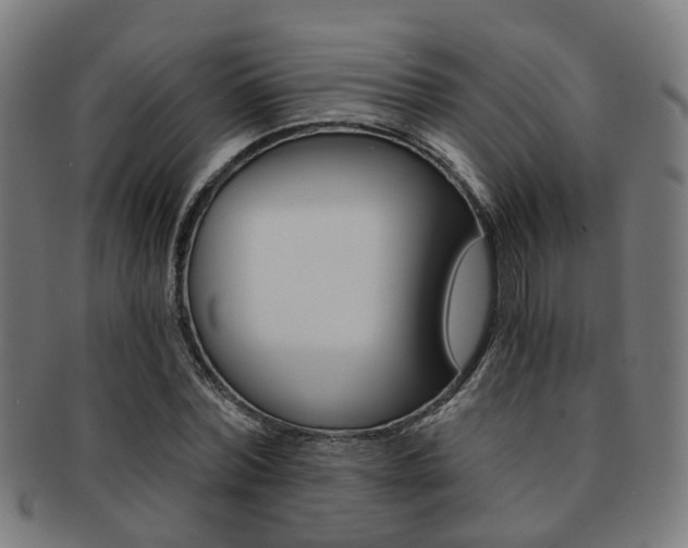 X0000091900780200709051103