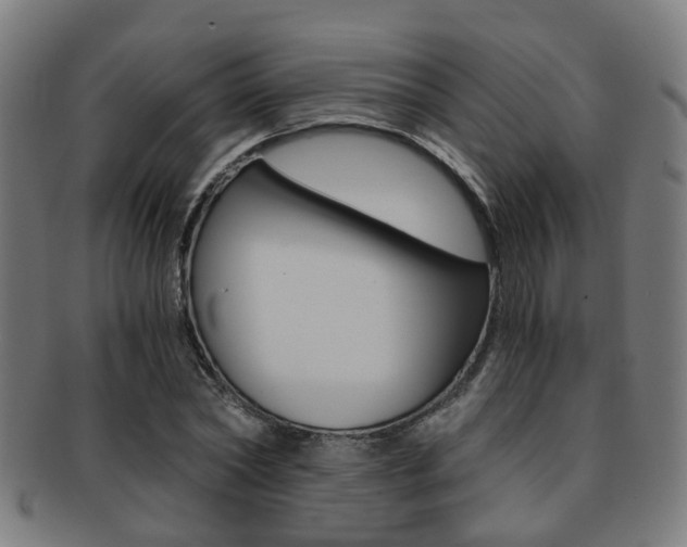 X0000091900782200709051103