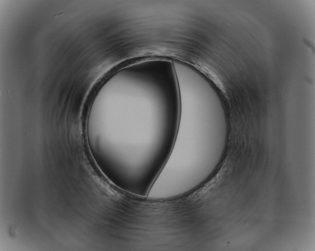 X0000091900784200709051103