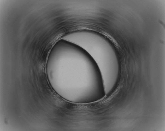 X0000091900785200709051103