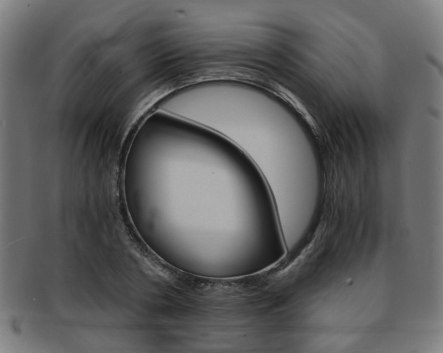 X0000091900786200709051103