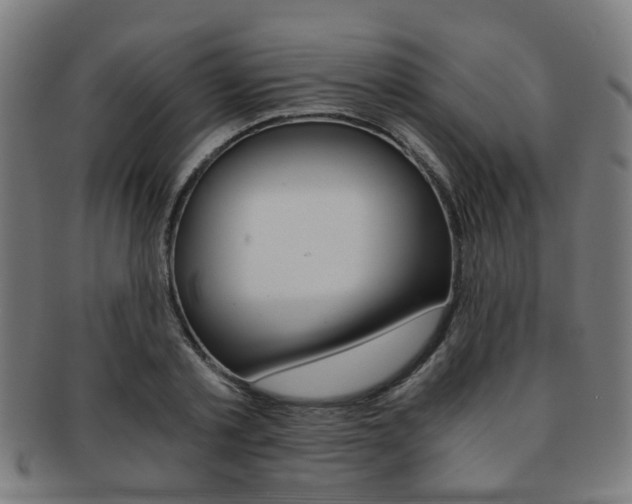X0000091900789200709051103
