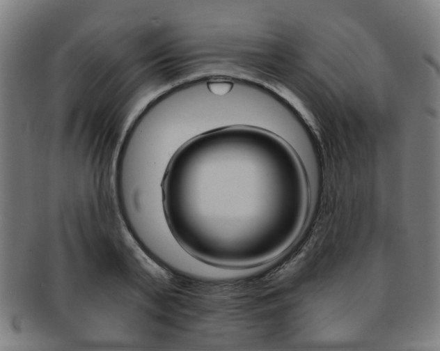 X0000091900791200709051103