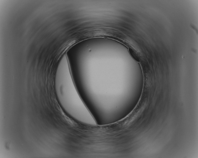 X0000091900793200709051103