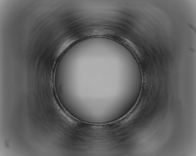 X0000091900794200709051103