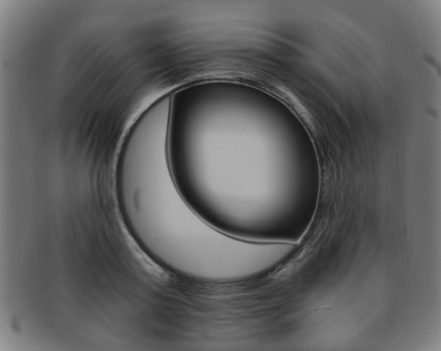 X0000091900795200709051103