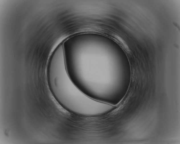 X0000091900796200709051103