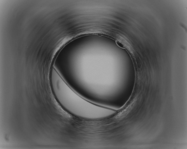 X0000091900797200709051103