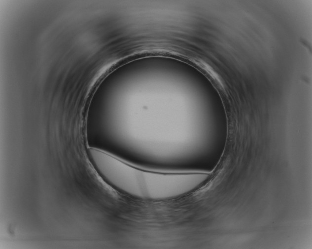 X0000091900799200709051103