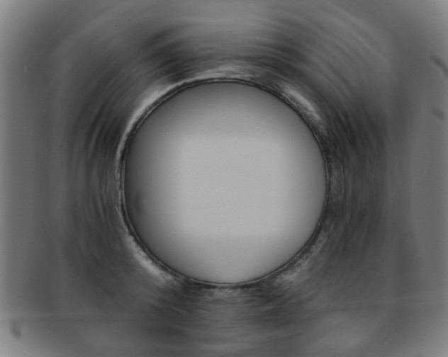 X0000091900800200709051103