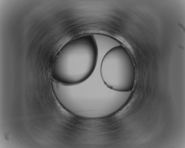 X0000091900801200709051103