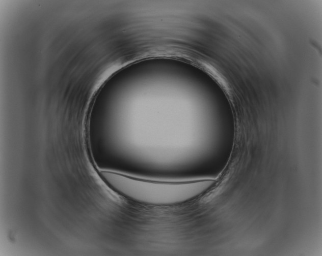X0000091900803200709051103