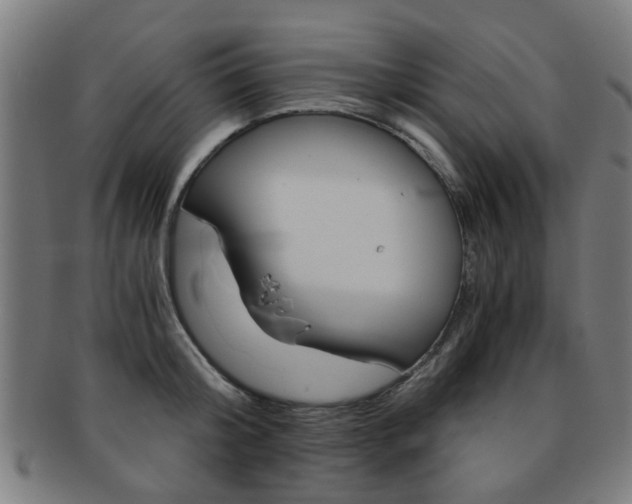 X0000091900804200709051103