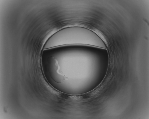 X0000091900805200709051103