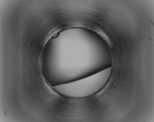 X0000091900806200709051103