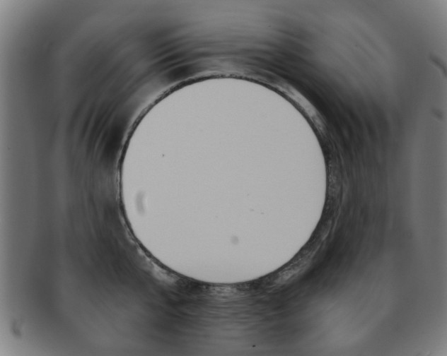 X0000091900807200709051103