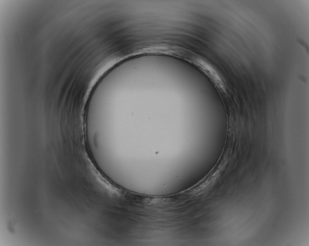 X0000091900808200709051103